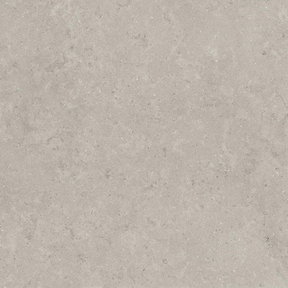 Frontier20 Ash Double Mesh Limestone Look Porcelain Moldings 24x24
