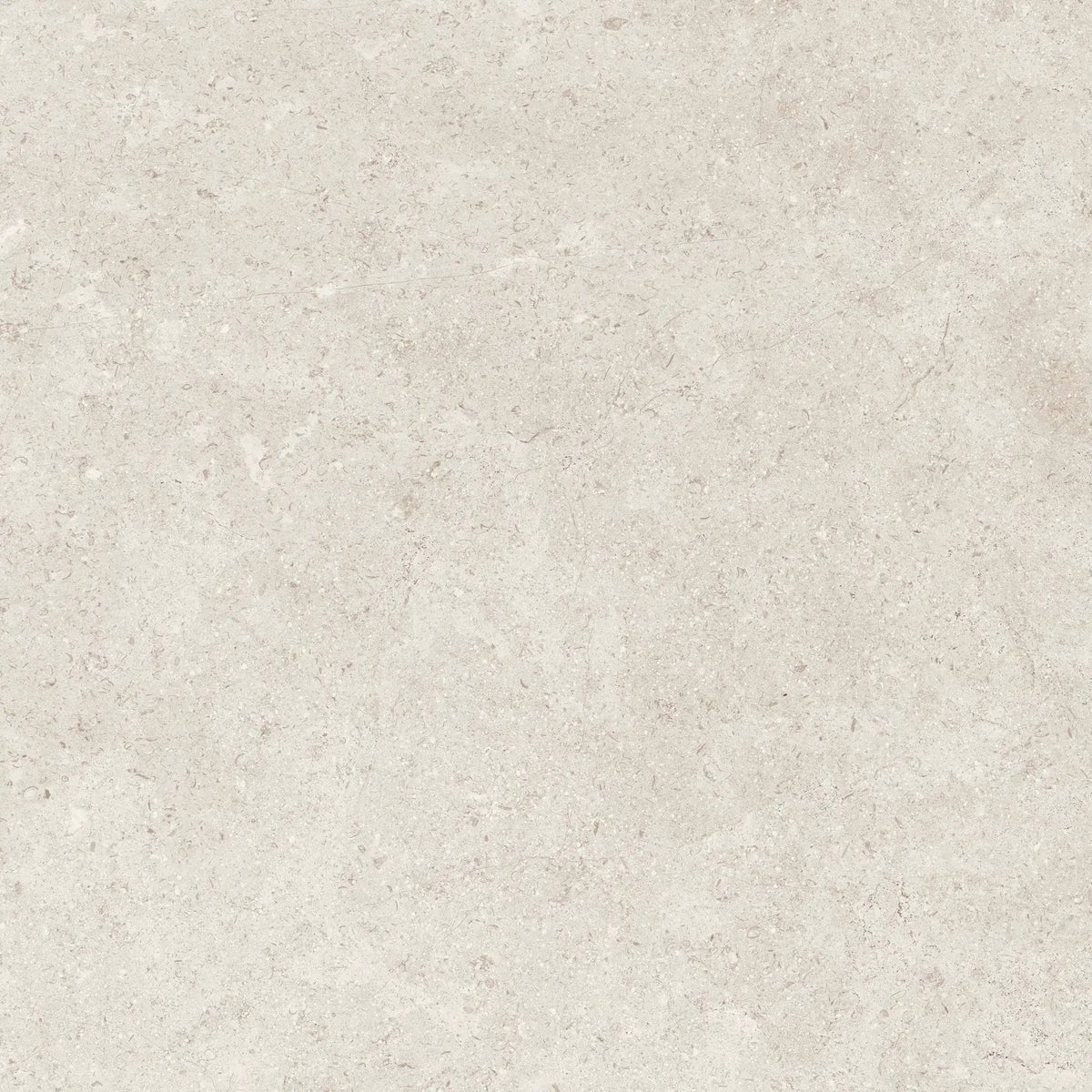 Frontier20 Frost End-cover Limestone Look Porcelain Moldings 12x24