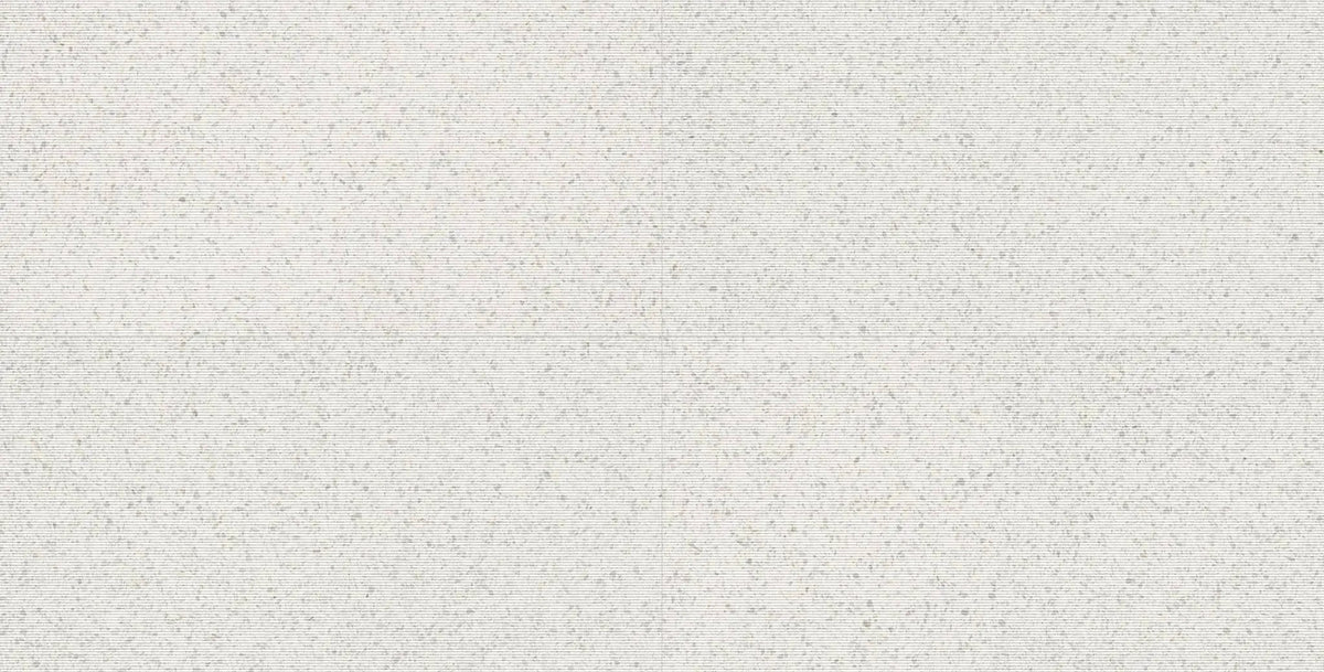 Veneer World Atelier Elite Stripe Diamond White Terrazzo Look Porcelain Accent Tiles 24x48